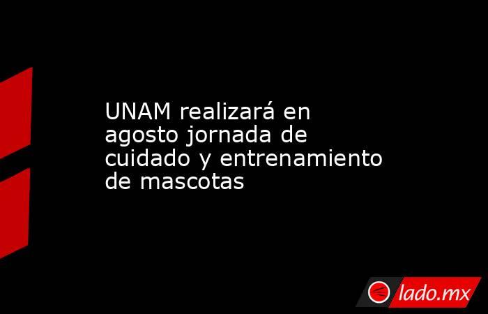 UNAM realizará en agosto jornada de cuidado y entrenamiento de mascotas. Noticias en tiempo real