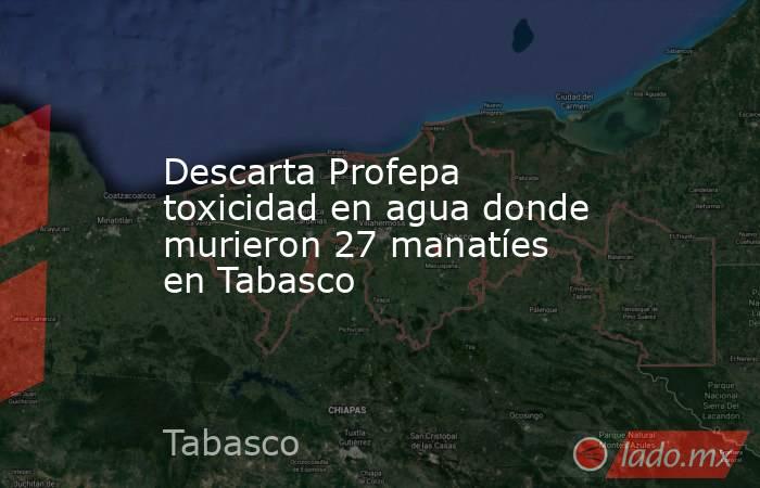 Descarta Profepa toxicidad en agua donde murieron 27 manatíes en Tabasco. Noticias en tiempo real