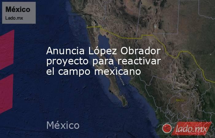 Anuncia López Obrador proyecto para reactivar el campo mexicano. Noticias en tiempo real