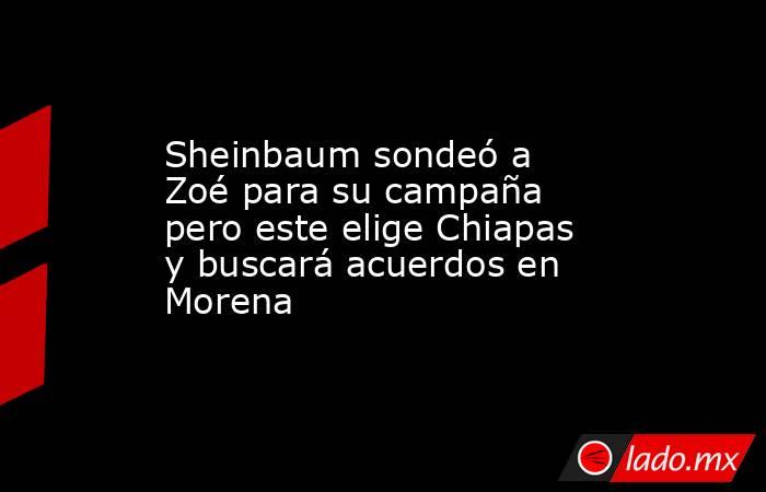 Sheinbaum sondeó a Zoé para su campaña pero este elige Chiapas y buscará acuerdos en Morena. Noticias en tiempo real