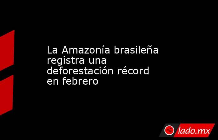 La Amazonía brasileña registra una deforestación récord en febrero. Noticias en tiempo real