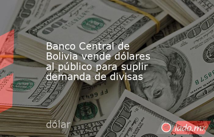 Banco Central de Bolivia vende dólares al público para suplir demanda de divisas. Noticias en tiempo real