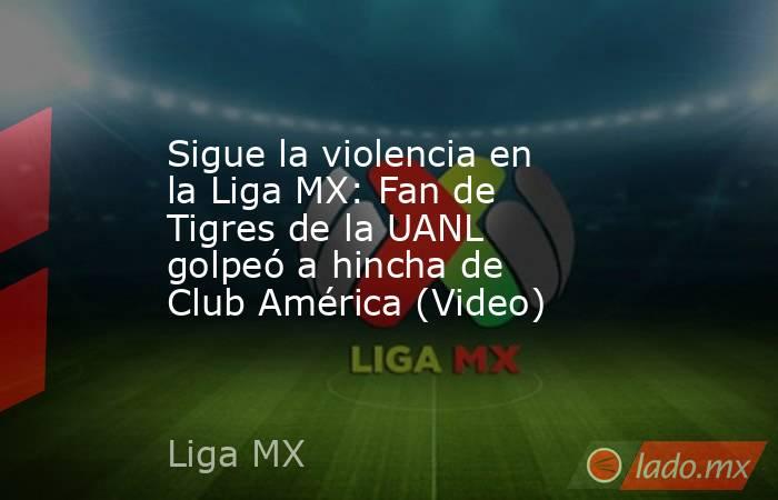 Sigue la violencia en la Liga MX: Fan de Tigres de la UANL golpeó a hincha de Club América (Video). Noticias en tiempo real
