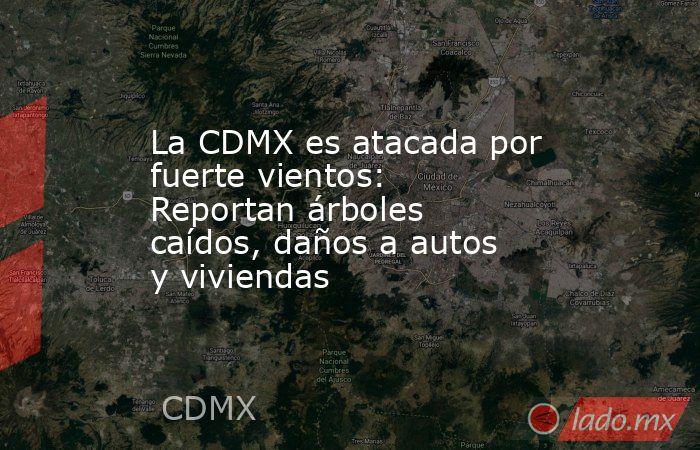 La CDMX es atacada por fuerte vientos: Reportan árboles caídos, daños a autos y viviendas . Noticias en tiempo real