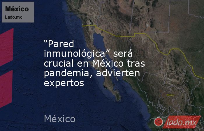 “Pared inmunológica” será crucial en México tras pandemia, advierten expertos. Noticias en tiempo real