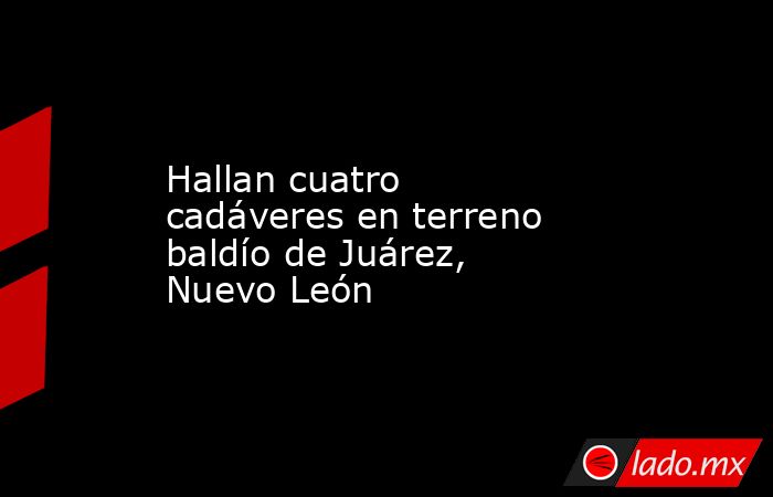 Hallan cuatro cadáveres en terreno baldío de Juárez, Nuevo León. Noticias en tiempo real