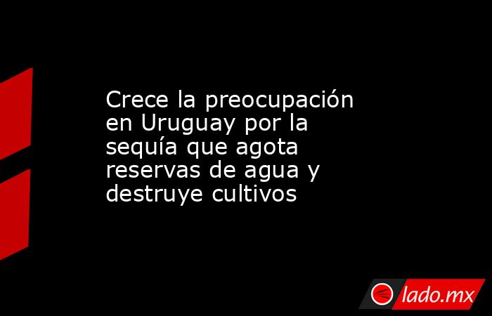 Crece la preocupación en Uruguay por la sequía que agota reservas de agua y destruye cultivos. Noticias en tiempo real