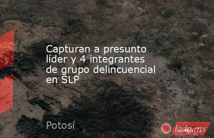 Capturan a presunto líder y 4 integrantes de grupo delincuencial en SLP. Noticias en tiempo real