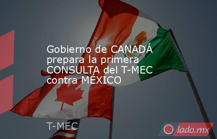 Gobierno de CANADÁ prepara la primera CONSULTA del T-MEC contra MÉXICO. Noticias en tiempo real