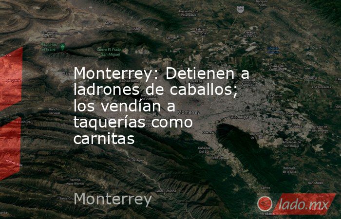 Monterrey: Detienen a ladrones de caballos; los vendían a taquerías como carnitas. Noticias en tiempo real