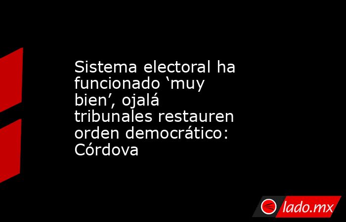Sistema electoral ha funcionado ‘muy bien’, ojalá tribunales restauren orden democrático: Córdova. Noticias en tiempo real