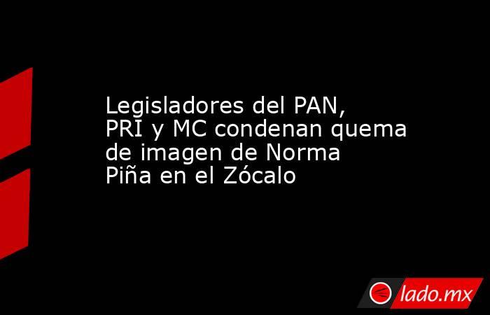 Legisladores del PAN, PRI y MC condenan quema de imagen de Norma Piña en el Zócalo. Noticias en tiempo real