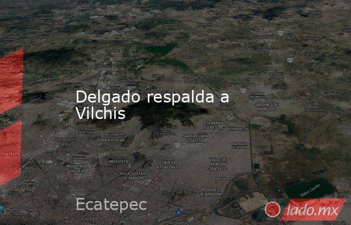 Delgado respalda a Vilchis. Noticias en tiempo real