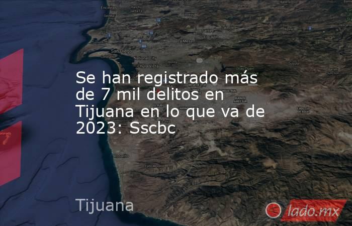 Se han registrado más de 7 mil delitos en Tijuana en lo que va de 2023: Sscbc. Noticias en tiempo real