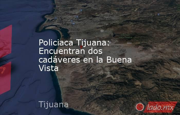 Policiaca Tijuana: Encuentran dos cadáveres en la Buena Vista. Noticias en tiempo real