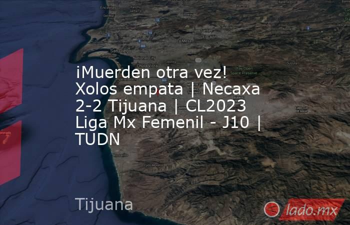 ¡Muerden otra vez! Xolos empata | Necaxa 2-2 Tijuana | CL2023 Liga Mx Femenil - J10 | TUDN. Noticias en tiempo real