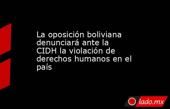 La oposición boliviana denunciará ante la CIDH la violación de derechos humanos en el país. Noticias en tiempo real