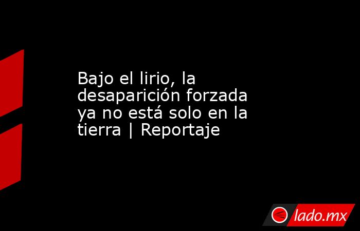 Bajo el lirio, la desaparición forzada ya no está solo en la tierra | Reportaje. Noticias en tiempo real