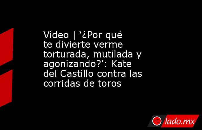 Video | ‘¿Por qué te divierte verme torturada, mutilada y agonizando?’: Kate del Castillo contra las corridas de toros. Noticias en tiempo real