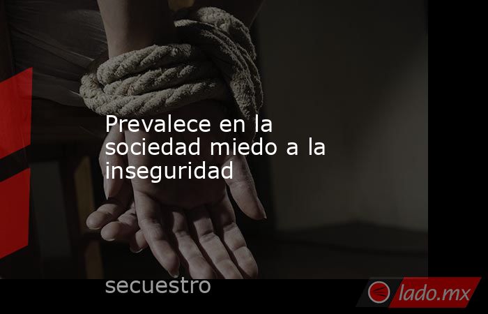 Prevalece en la sociedad miedo a la inseguridad. Noticias en tiempo real
