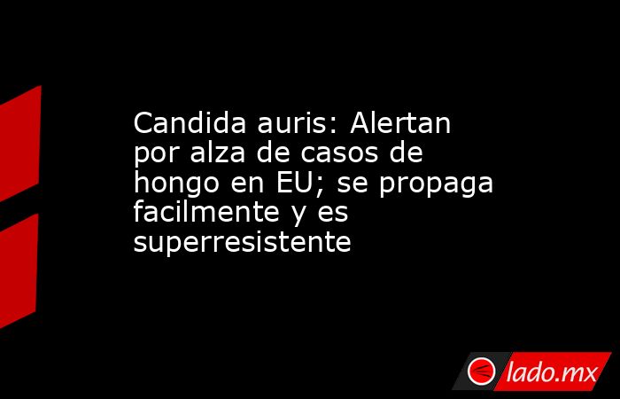 Candida auris: Alertan por alza de casos de hongo en EU; se propaga facilmente y es superresistente. Noticias en tiempo real