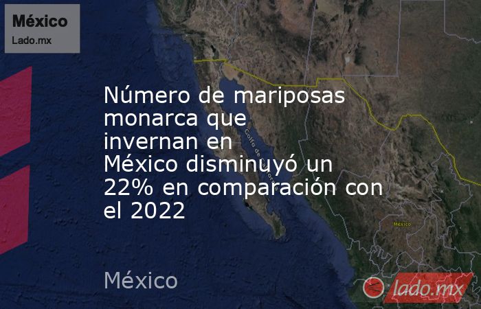 Número de mariposas monarca que invernan en México disminuyó un 22% en comparación con el 2022. Noticias en tiempo real