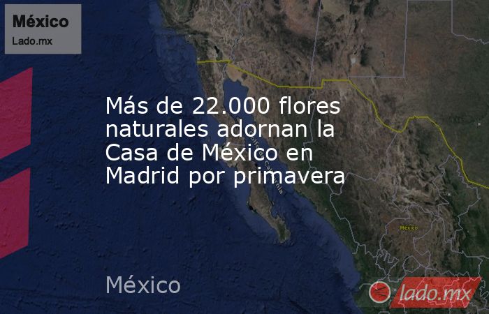 Más de 22.000 flores naturales adornan la Casa de México en Madrid por primavera. Noticias en tiempo real