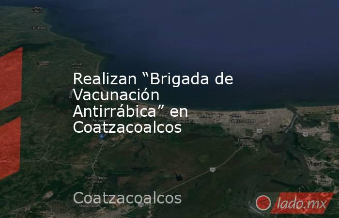 Realizan “Brigada de Vacunación Antirrábica” en Coatzacoalcos. Noticias en tiempo real