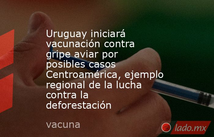 Uruguay iniciará vacunación contra gripe aviar por posibles casos Centroamérica, ejemplo regional de la lucha contra la deforestación. Noticias en tiempo real