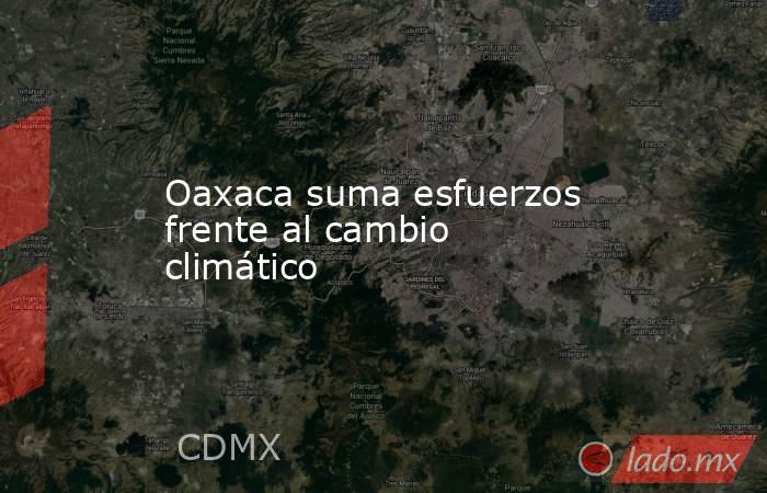 Oaxaca suma esfuerzos frente al cambio climático. Noticias en tiempo real
