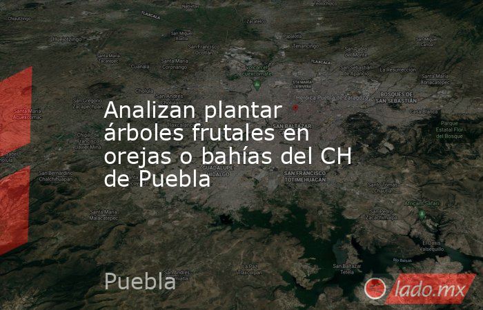 Analizan plantar árboles frutales en orejas o bahías del CH de Puebla. Noticias en tiempo real