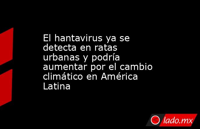 El hantavirus ya se detecta en ratas urbanas y podría aumentar por el cambio climático en América Latina. Noticias en tiempo real