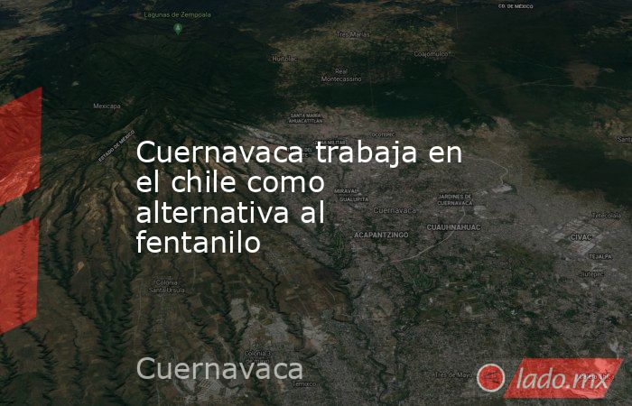 Cuernavaca trabaja en el chile como alternativa al fentanilo. Noticias en tiempo real