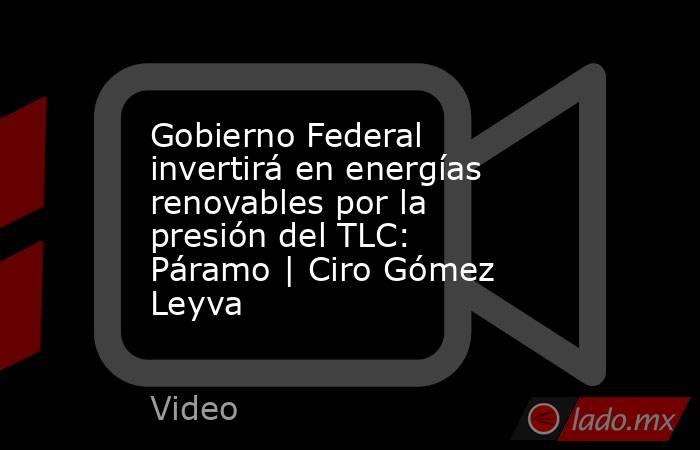 Gobierno Federal invertirá en energías renovables por la presión del TLC: Páramo | Ciro Gómez Leyva. Noticias en tiempo real