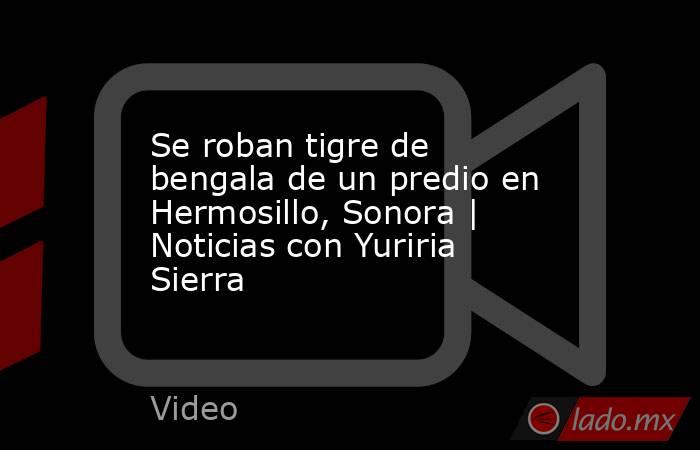 Se roban tigre de bengala de un predio en Hermosillo, Sonora | Noticias con Yuriria Sierra. Noticias en tiempo real