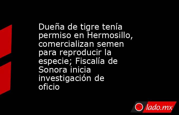Dueña de tigre tenía permiso en Hermosillo, comercializan semen para reproducir la especie; Fiscalía de Sonora inicia investigación de oficio. Noticias en tiempo real