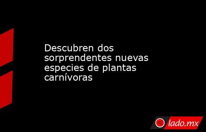Descubren dos sorprendentes nuevas especies de plantas carnívoras. Noticias en tiempo real