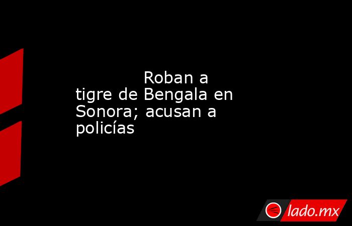             Roban a tigre de Bengala en Sonora; acusan a policías            . Noticias en tiempo real