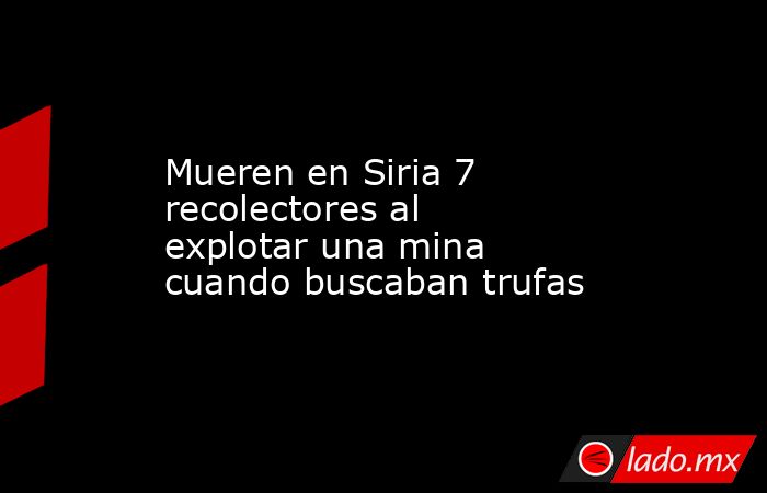 Mueren en Siria 7 recolectores al explotar una mina cuando buscaban trufas. Noticias en tiempo real