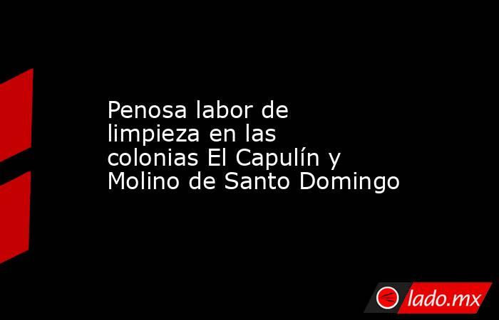 Penosa labor de limpieza en las colonias El Capulín y Molino de Santo Domingo. Noticias en tiempo real