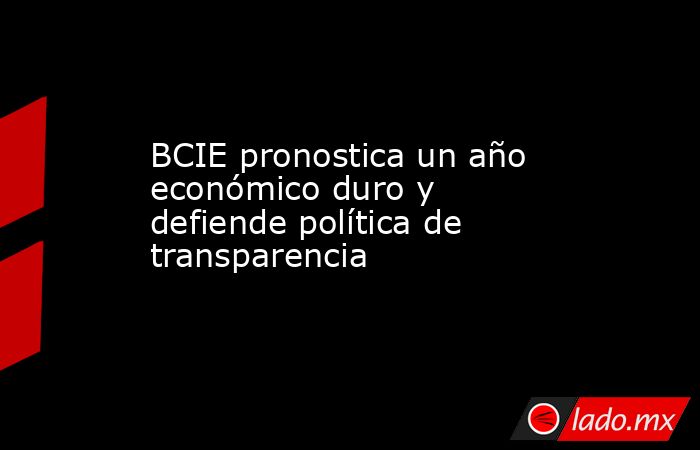 BCIE pronostica un año económico duro y defiende política de transparencia. Noticias en tiempo real