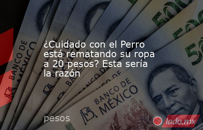 ¿Cuidado con el Perro está rematando su ropa a 20 pesos? Esta sería la razón. Noticias en tiempo real