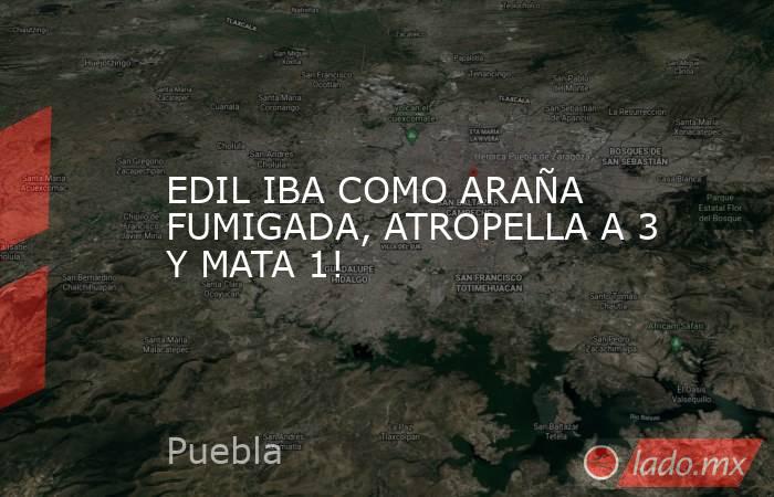 EDIL IBA COMO ARAÑA FUMIGADA, ATROPELLA A 3 Y MATA 1!. Noticias en tiempo real