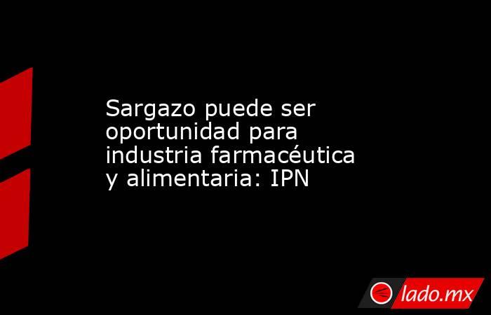 Sargazo puede ser oportunidad para industria farmacéutica y alimentaria: IPN . Noticias en tiempo real