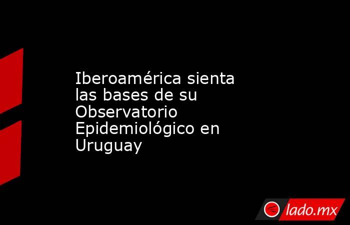Iberoamérica sienta las bases de su Observatorio Epidemiológico en Uruguay. Noticias en tiempo real