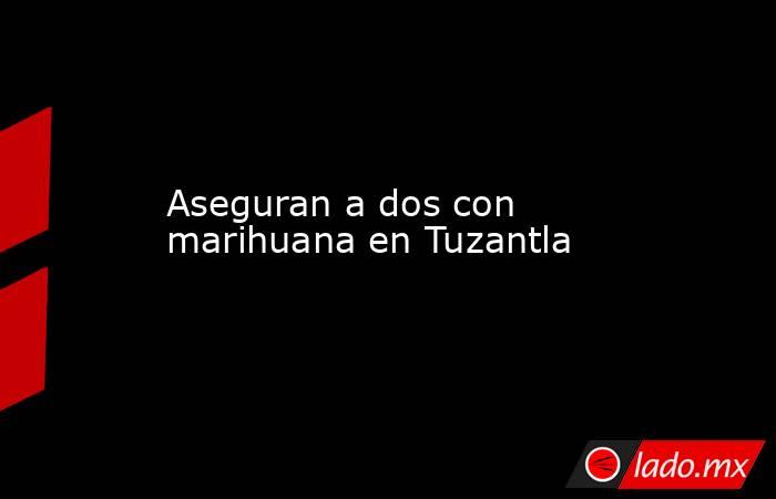 Aseguran a dos con marihuana en Tuzantla. Noticias en tiempo real