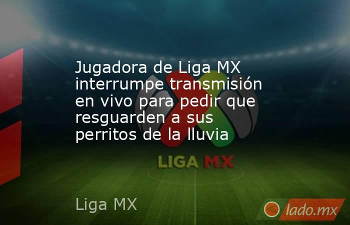 Jugadora de Liga MX interrumpe transmisión en vivo para pedir que resguarden a sus perritos de la lluvia. Noticias en tiempo real