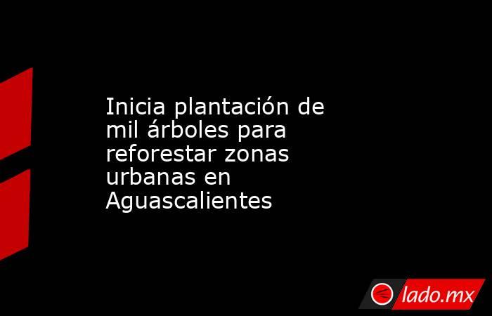 Inicia plantación de mil árboles para reforestar zonas urbanas en Aguascalientes. Noticias en tiempo real