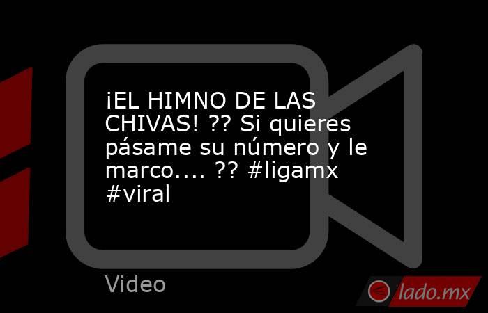 ¡EL HIMNO DE LAS CHIVAS! ?? Si quieres pásame su número y le marco.... ?? #ligamx #viral. Noticias en tiempo real