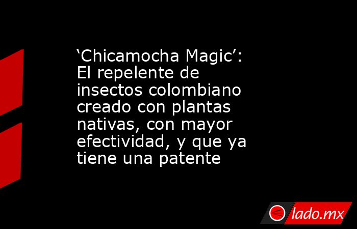 ‘Chicamocha Magic’: El repelente de insectos colombiano creado con plantas nativas, con mayor efectividad, y que ya tiene una patente . Noticias en tiempo real